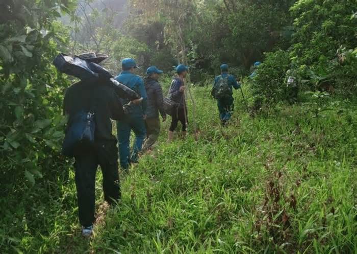 Phú Yên: Hàng trăm người đổ vào rừng tìm trầm sau tin đồn trúng kỳ nam chục tỷ