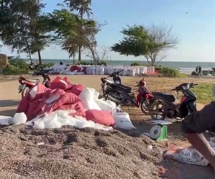 Triệt phá nhóm vòi tiền người thu mua con chang chang ở bãi biển