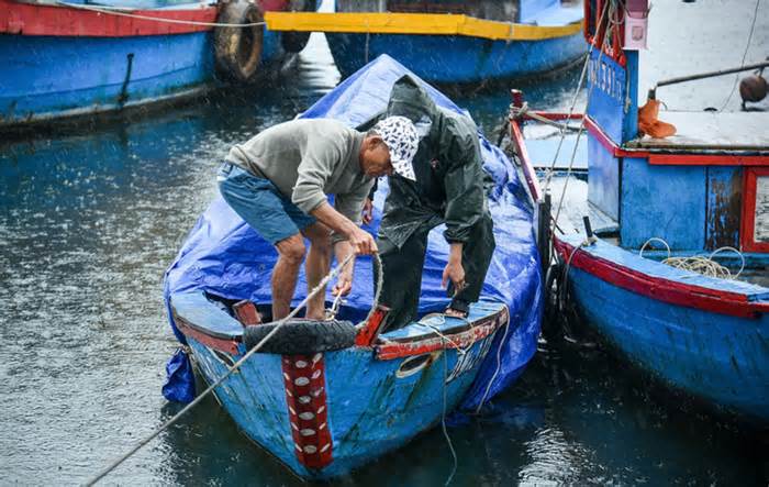 Thời tiết hôm nay 27-10: Trung Bộ mưa rất to, bão Trà Mi vào đất liền rồi vòng ra biển