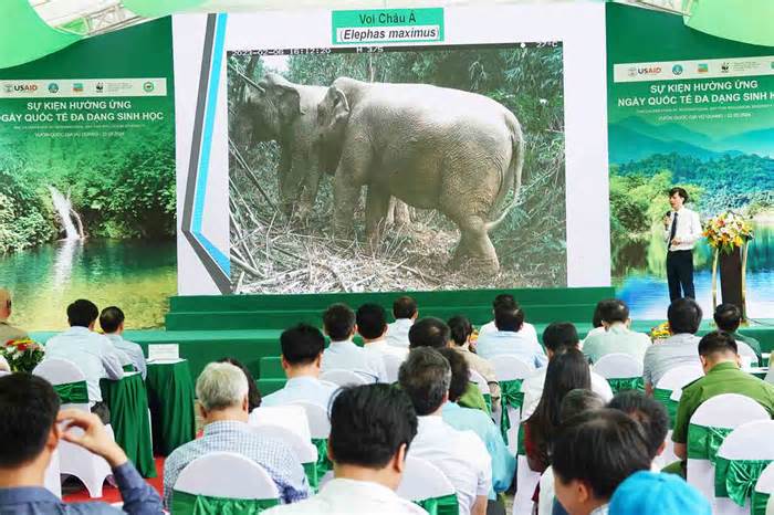 Kêu gọi hành động vì động vật hoang dã