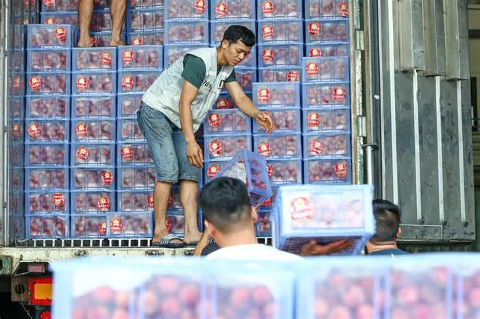 Chính phủ đồng ý kéo dài thời hạn tạm ngưng Nghị định 46