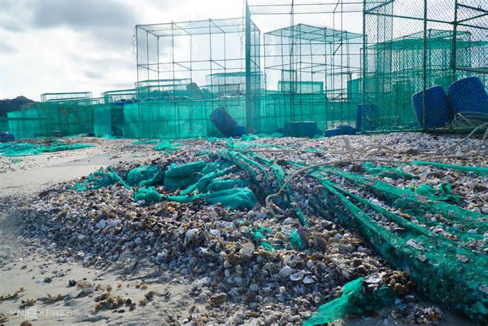 Rác bủa vây bãi biển ở Cam Ranh