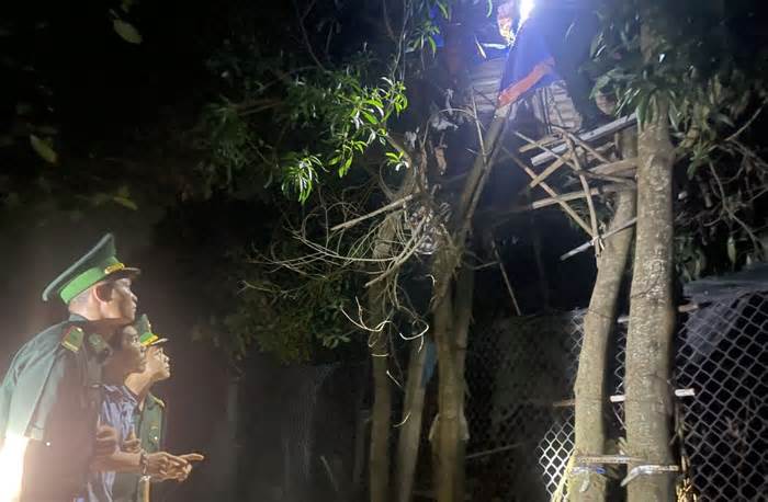 Bí mật trong chiếc lán dựng trên cây ở vùng biên giới Việt - Lào