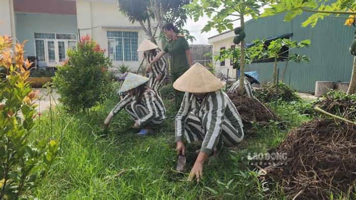 Giúp các phạm nhân có hành trang tái hòa nhập cộng đồng