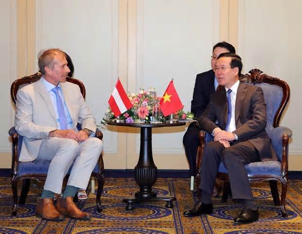 Chủ tịch nước đề cao tình hữu nghị giữa hai nước Việt Nam - Áo
