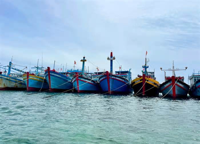 Chủ tịch tỉnh Lâm Đồng chỉ đạo khẩn ứng phó bão số 11