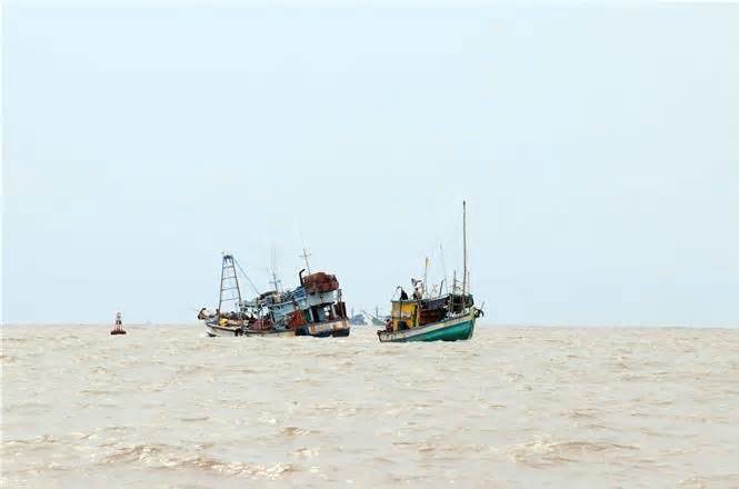 Trung Quốc đơn phương tạm ngừng đánh cá là không có giá trị