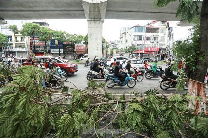 Đường phố Hà Nội vẫn ngổn ngang cây đổ, người dân 'vượt ải' ùn tắc đến công sở