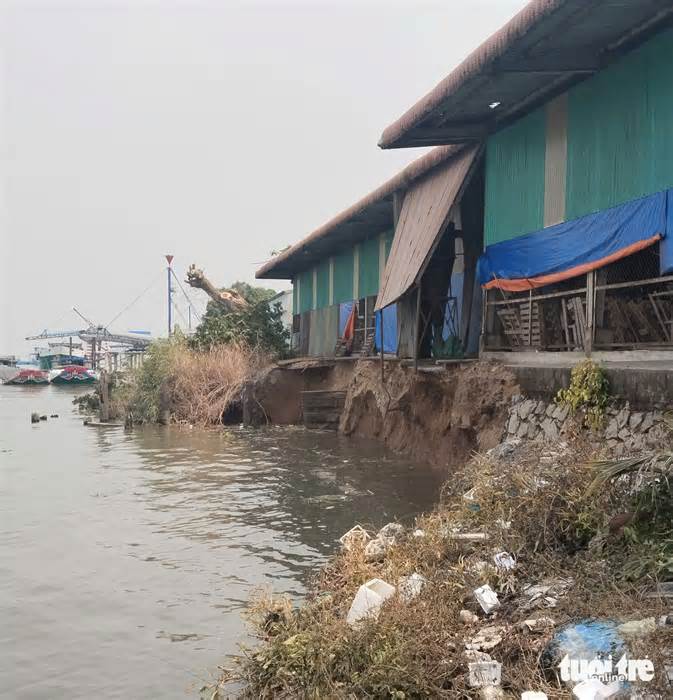 Sạt lở bờ sông Hậu dài 50m, ăn sâu vào bờ 8m, di dời 660 tấn gạo