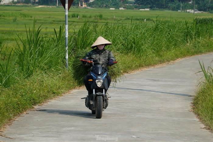 Cụ ông tử vong nghi do sốc nhiệt