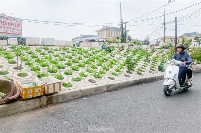 Trên đê Nguyễn Khoái, chỗ trồng rau phủ xanh, chỗ ngập rác ô nhiễm