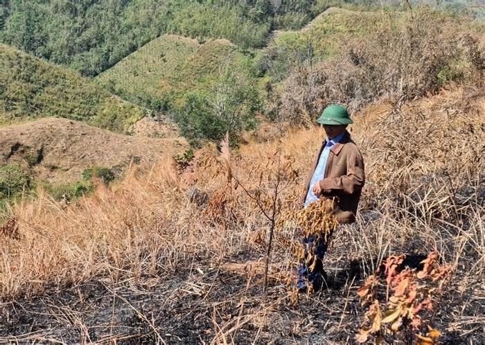 Đắk Nông chi viện lực lượng ngăn chặn lâm tặc phá rừng phòng hộ