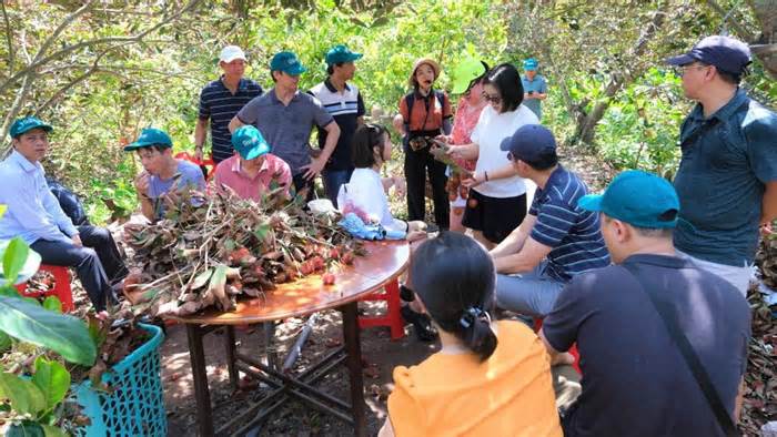 Du lịch Cồn Sơn tăng tốc chuẩn bị phục vụ 30.4