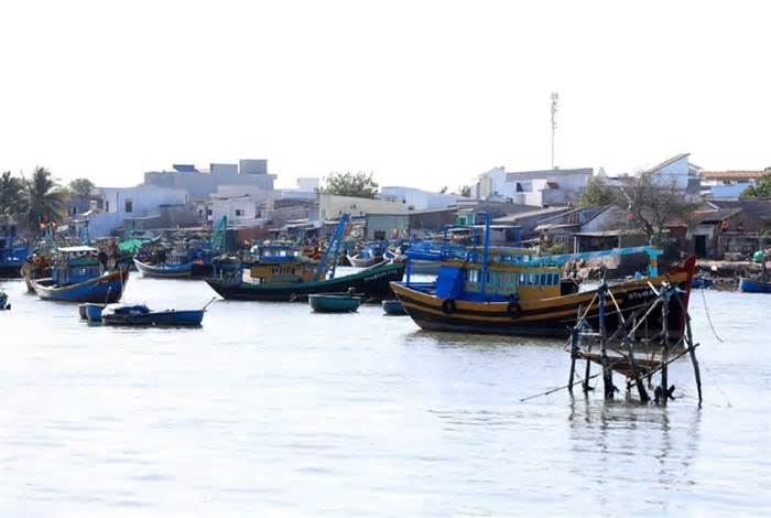 Khắc phục 'thẻ vàng' IUU: Bình Thuận giám sát đặc biệt hơn 170 tàu cá