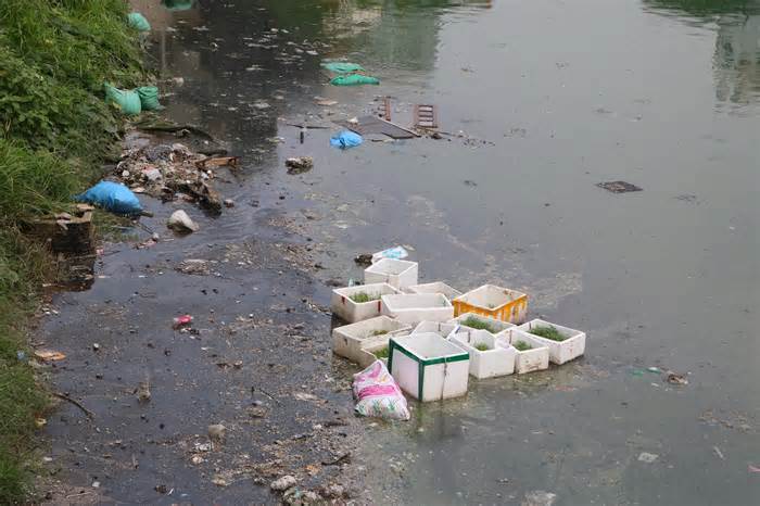 Dân lo dịch sốt xuất huyết 'tấn công' vì sống cạnh hồ nước ngập rác thải