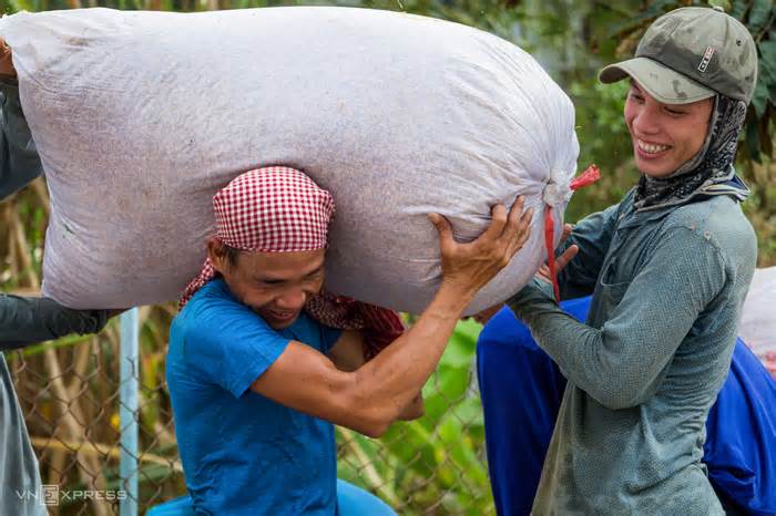 Nông dân lãi hơn 30 triệu đồng một ha lúa