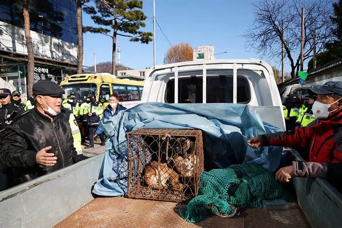 Cảnh sát Hàn Quốc ngăn nông dân thả chó gần văn phòng tổng thống