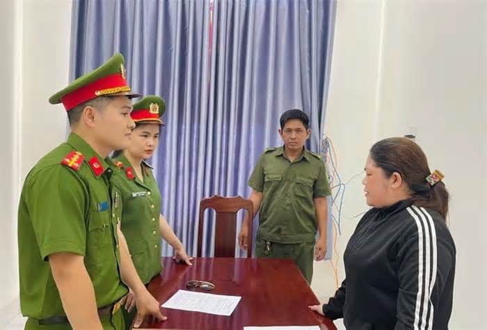 Bắt nữ giám đốc mua bán hóa đơn trái phép để trốn thuế gần 740 triệu đồng