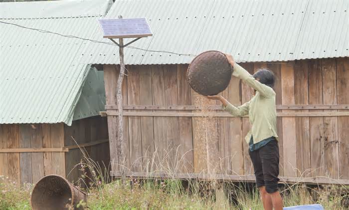 Kéo điện về cho thôn nằm lọt thỏm giữa rừng