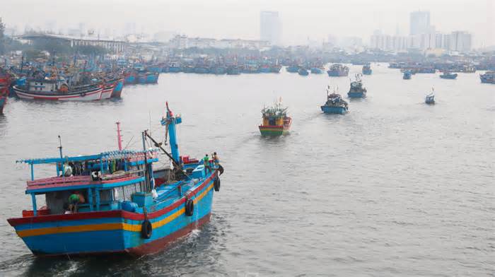 Ứng phó mưa bão, Đà Nẵng quản lý chặt chẽ tàu thuyền