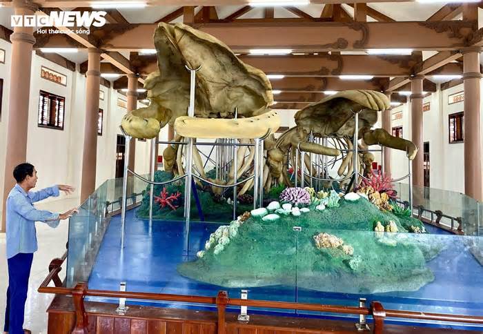 Đến đảo Lý Sơn, mục sở thị 2 bộ xương cá voi lớn nhất Việt Nam