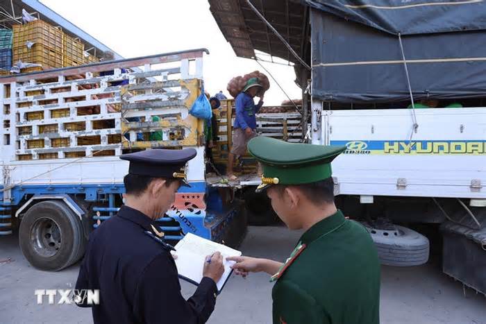 Quy định xử phạt vi phạm hành chính trong quản lý, bảo vệ biên giới quốc gia