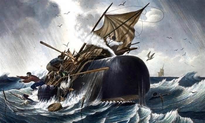 Hung thần cá voi từng khiến thủy thủ Constantinope khiếp sợ