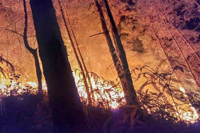 Huy động gần 500 người dập tắt đám cháy gần 3 ha rừng ở Yên Bái