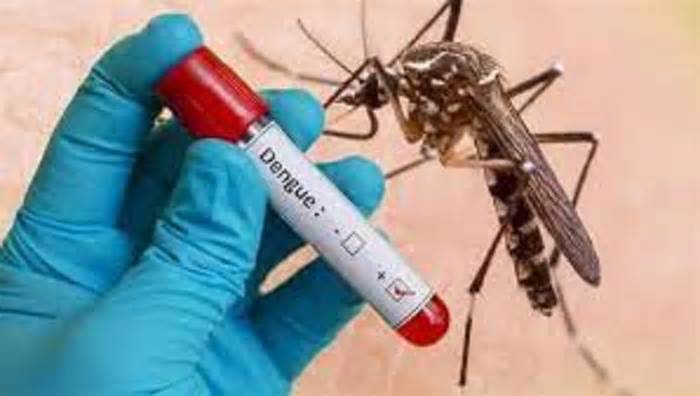 Đắk Lắk ghi nhận ca tử vong do sốt xuất huyết đầu tiên trong năm
