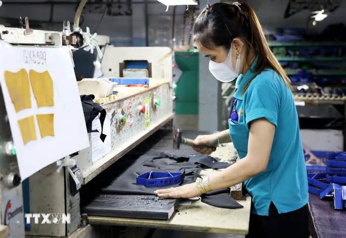 TP Hồ Chí Minh: Lao động biến động nhiều nhất ở doanh nghiệp ngoài nhà nước