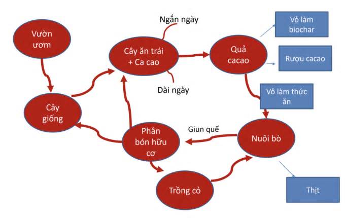 5 bước thực hành kinh tế xanh, tuần hoàn trong nông nghiệp