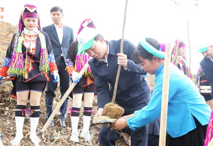 Tối thiểu sẽ trồng 1 triệu cây trong Tết trồng cây 2024 tại Quảng Ninh
