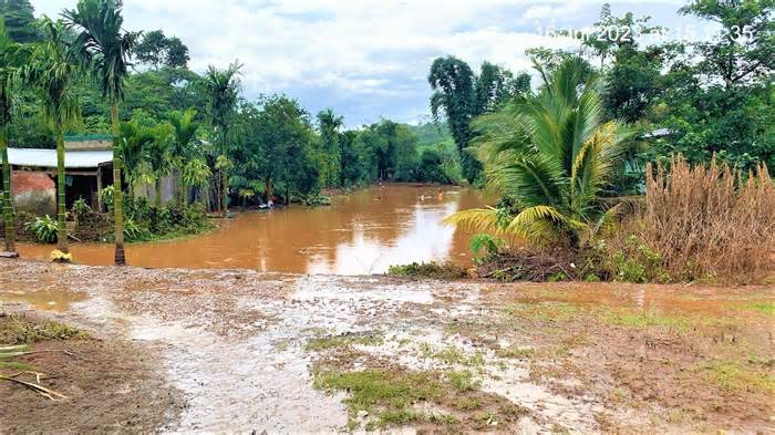 Tỉnh Đắk Nông lên tiếng vụ vỡ hồ nước thiệt hại hơn nửa tỷ đồng
