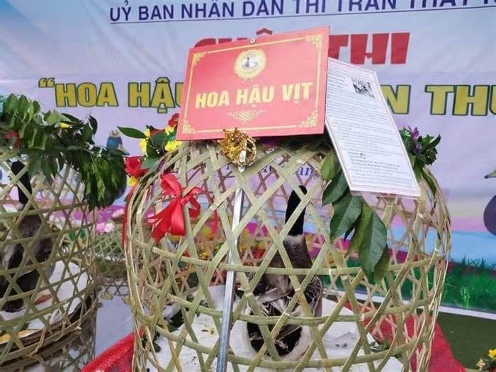 'Hoa hậu vịt' gây sốt ở Lạng Sơn, bán đấu giá 35 triệu đồng