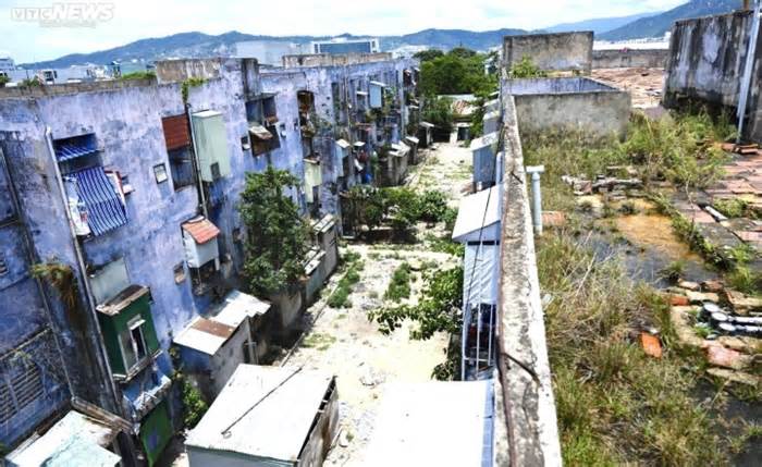 Gần 300 hộ dân sống bất an trong chung cư xuống cấp, lúc nhúc chuột: Sở Xây dựng Đà Nẵng nói gì?