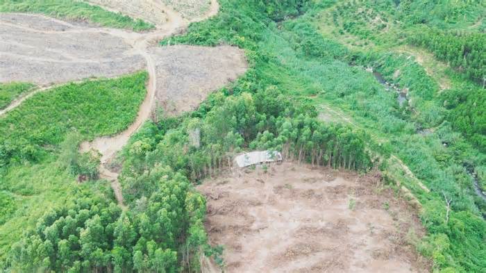 Để hoàn thiện sớm cao tốc ở Đắk Lắk phải chuyển đổi nhanh đất rừng