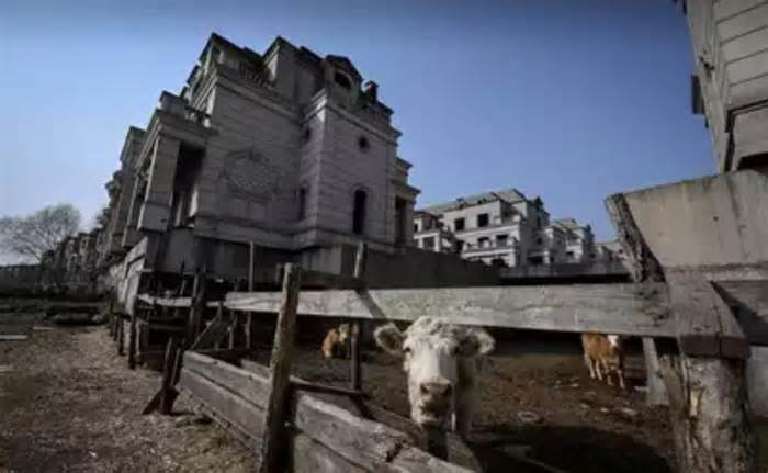 'Thị trấn ma' với hàng trăm biệt thự lớn thành trang trại nuôi bò
