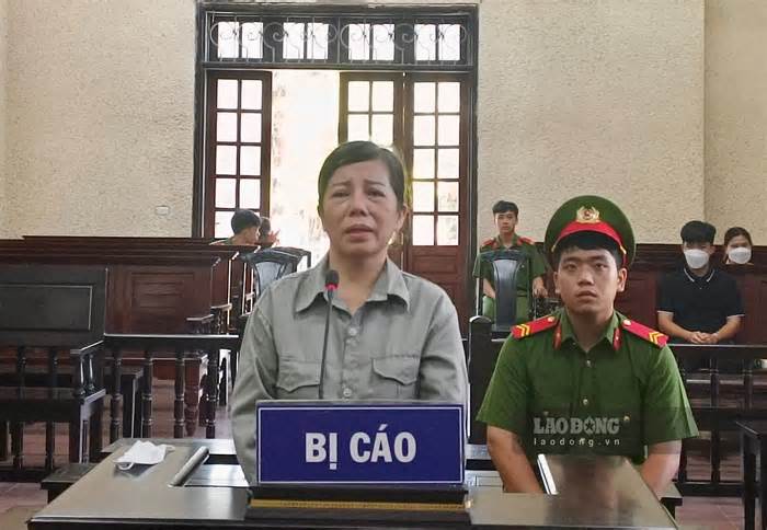 Lừa đảo chiếm đoạt tài sản, người phụ nữ ở Hà Nội lĩnh án 7 năm tù