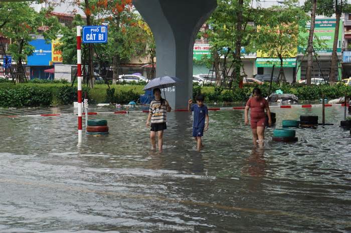 Cây xà cừ cổ thụ bật gốc, đè bẹp ô tô ở Hải Phòng