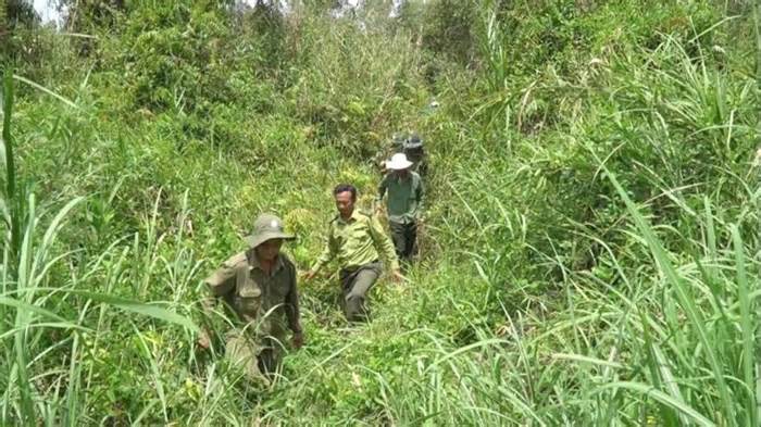 Vườn Quốc gia U Minh Thượng tổ chức gần 600 cuộc tuần tra bảo vệ rừng