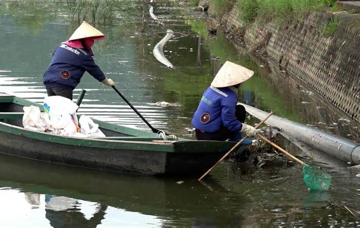 Xử lý hiện tượng cá chết hàng loạt tại khu đô thị cao cấp thành phố Hạ Long
