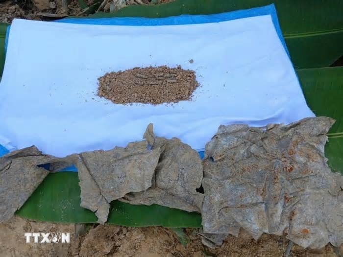 Quảng Ngãi: Tìm kiếm, quy tập thêm 5 hài cốt liệt sĩ kèm nhiều di vật