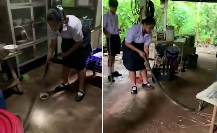 Nữ sinh 17 tuổi bắt rắn hổ giúp hàng xóm