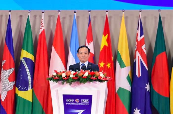 Phó Thủ tướng Trần Lưu Quang dự khai mạc Hội chợ Trung Quốc – Nam Á