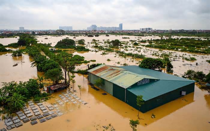 'Biển nước' về đồng bằng, huy động lực lượng ứng trực tại các tuyến đê xung yếu