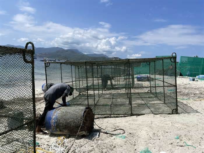 Chấn chỉnh việc nuôi trồng thủy sản mật độ cao, phá vỡ quy hoạch ở Khánh Hòa