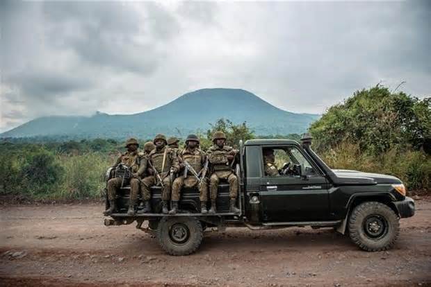 LHQ kêu gọi đàm phán nhằm chấm dứt bạo lực ở phía Đông CHDC Congo