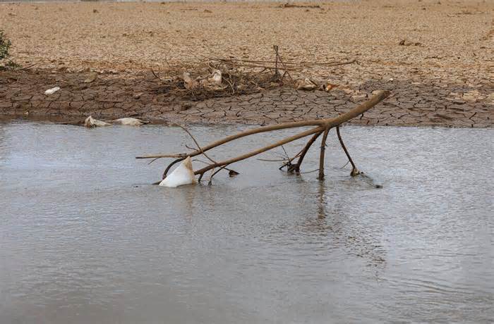 Lâm Đồng kiểm tra công tác phòng chống hạn hán thiếu nước mùa khô