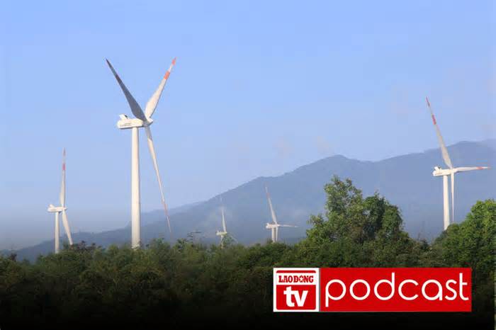 Tin sáng: Loạt trụ điện gió xây trên đất rừng phòng hộ ở Quảng Trị