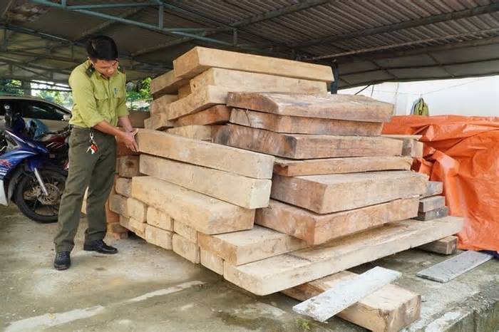 Cất giữ gỗ lậu trên đất của Trưởng phòng Nội vụ: Yêu cầu giải trình